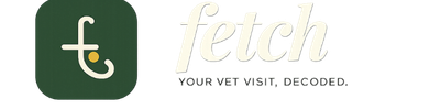 Fetch — Your Vet Visit, Decoded.